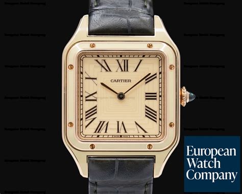 cartier wgsa0054 for sale.